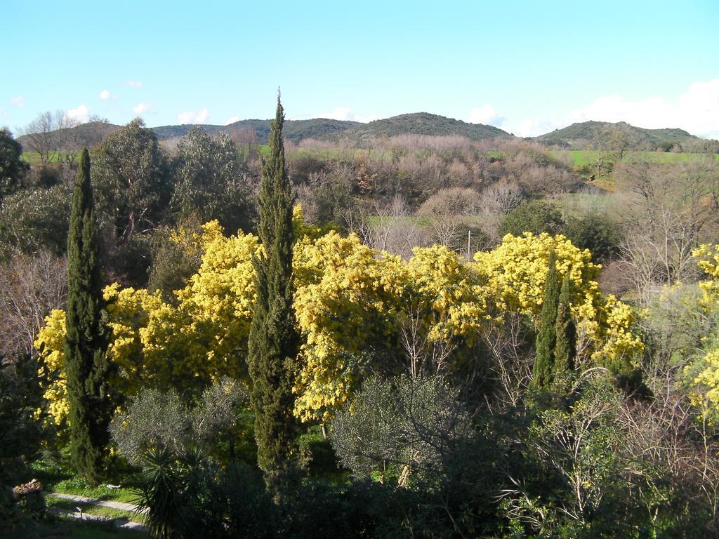 Casale Del Tiglio Bed & Breakfast Cerveteri Room photo