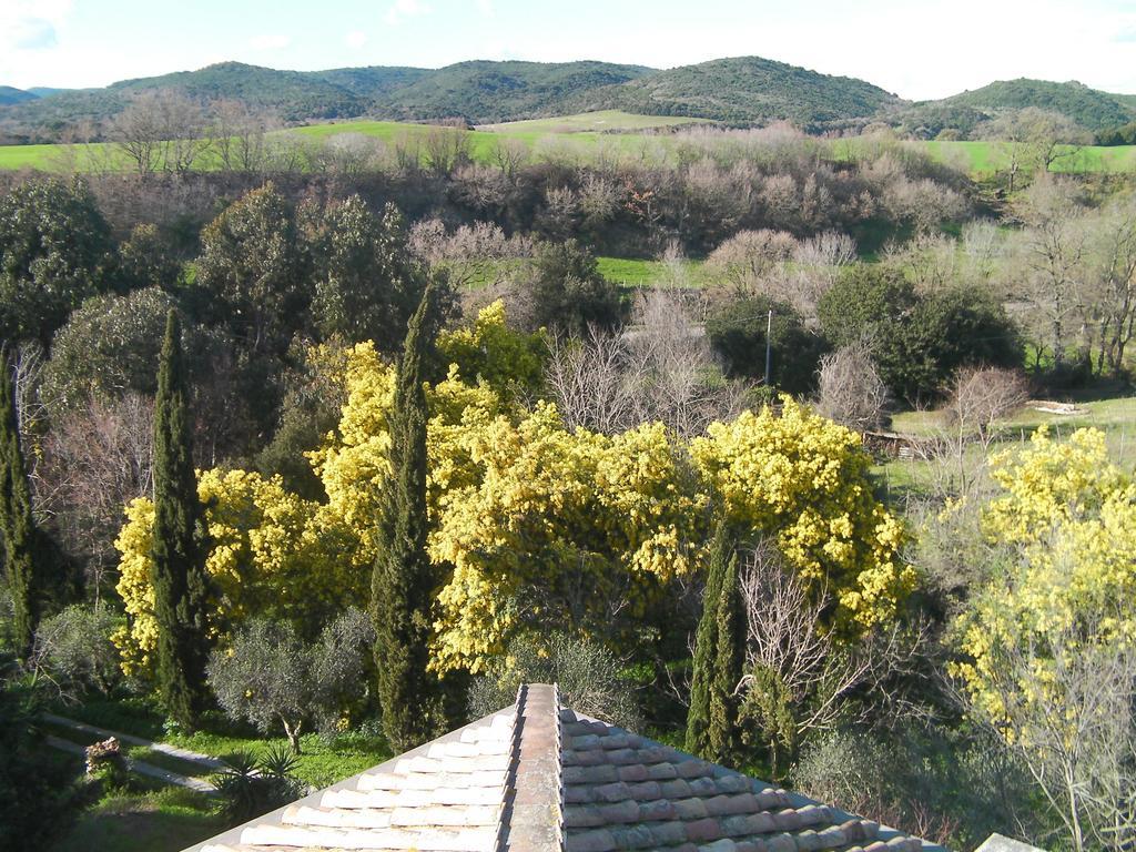 Casale Del Tiglio Bed & Breakfast Cerveteri Room photo