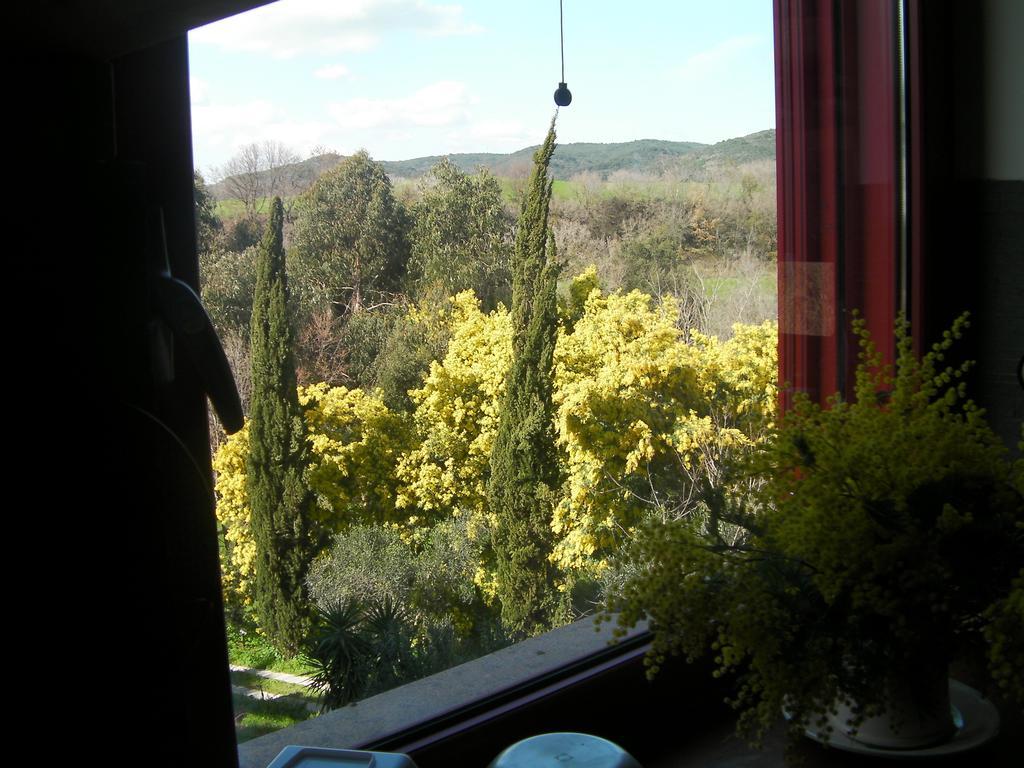 Casale Del Tiglio Bed & Breakfast Cerveteri Room photo